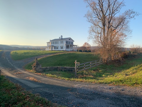 Modernized 1880s Farmhouse on 42 Acres