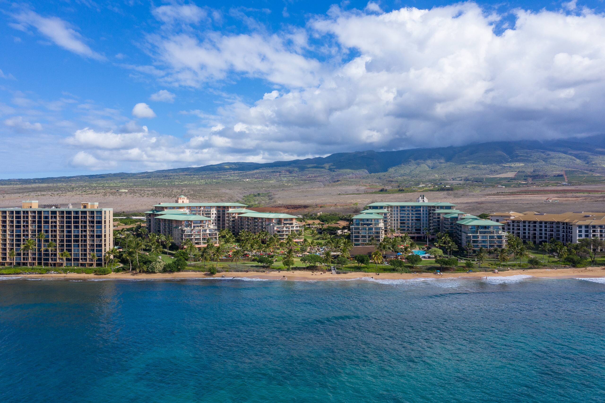 Condo in Lahaina · ★4.99 · 1 bedroom · 2 beds · 1 bath - Image 6