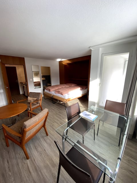 Central 1.5-room apartment