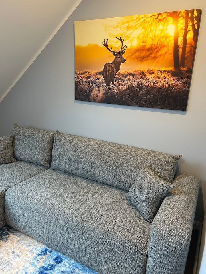 Ferienhaus Waldsiedlung - Schotten