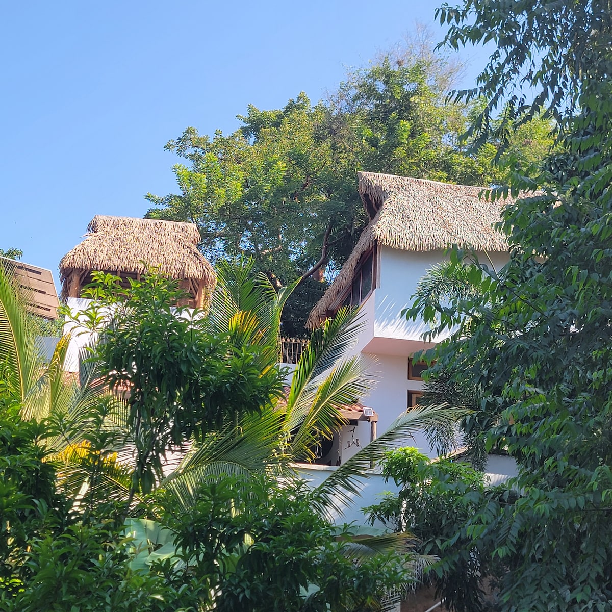 The exterior of Casa de Clara Vista is depicted, featuring a two-story structure with a thatched roof amidst lush tropical greenery. Vibrant foliage surrounds the home, with the blue sky visible above, creating a serene and inviting environment.