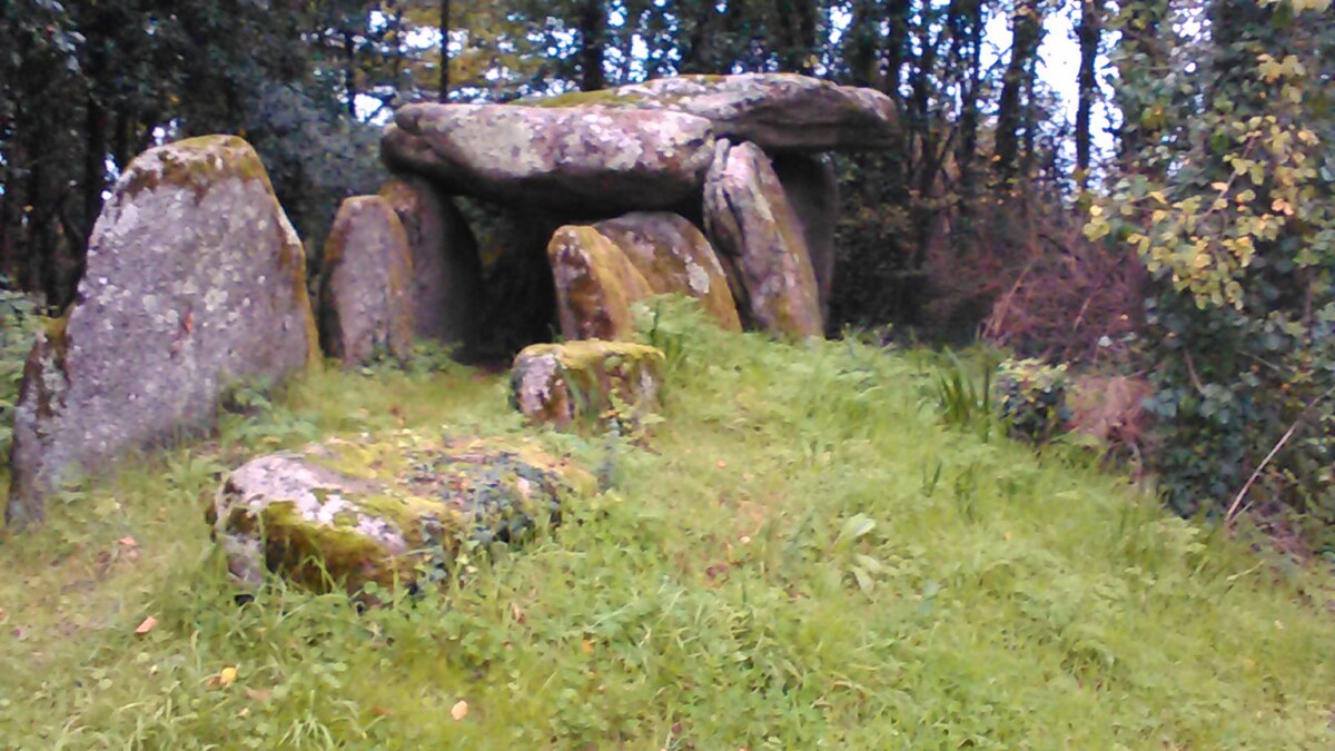 A cluster of large, weathered stones is surrounded by lush green grass and foliage. The formation features a capstone resting on upright stones, creating a natural shelter. The area is enclosed by trees, fostering a serene and natural environment.