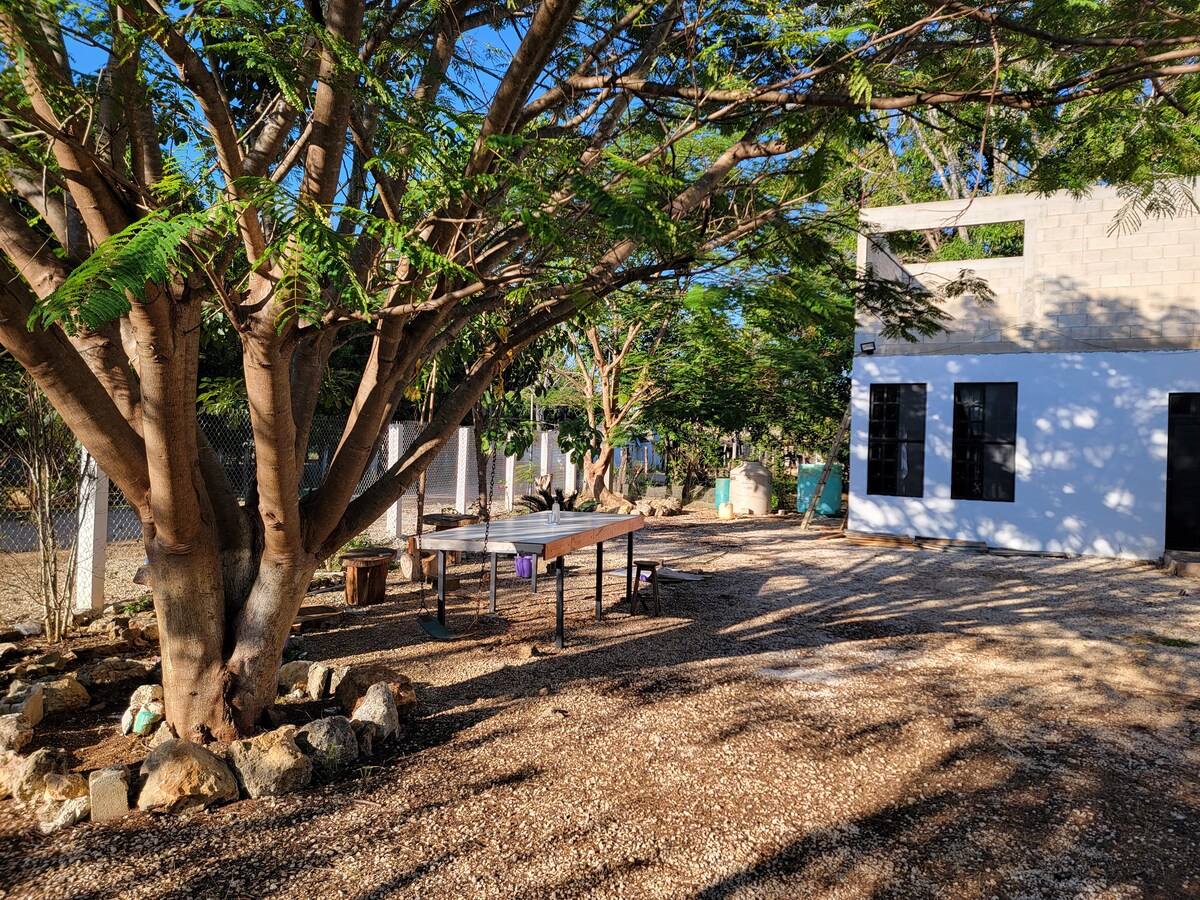 A shaded outdoor area features a large table surrounded by several chairs, situated beneath a mature tree. Sunlight filters through the leaves, creating a serene setting among the gravel ground and greenery in the background.