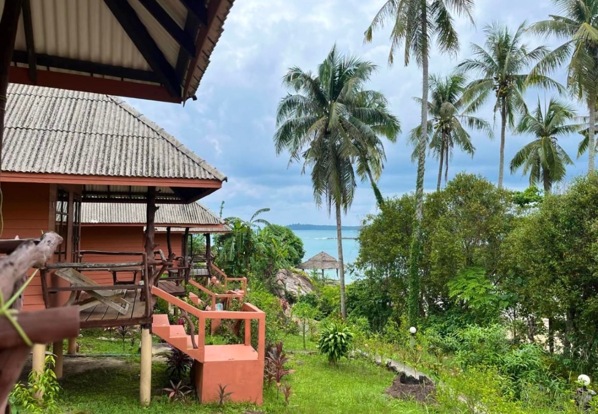 A clear view of tropical plants and palm trees surrounds a pathway leading to charming accommodations. The exterior of the structures features warm colors, and the distant sea is visible beyond the lush greenery, creating a serene ambiance.