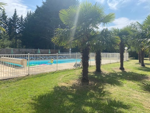 Peaceful oasis in the woods