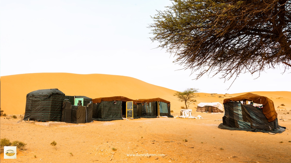 A collection of three camping tents and a kitchen tent is set against the backdrop of golden sand dunes. The tents are covered in dark fabric, providing a stark contrast to the surrounding landscape, which features sparse desert vegetation.