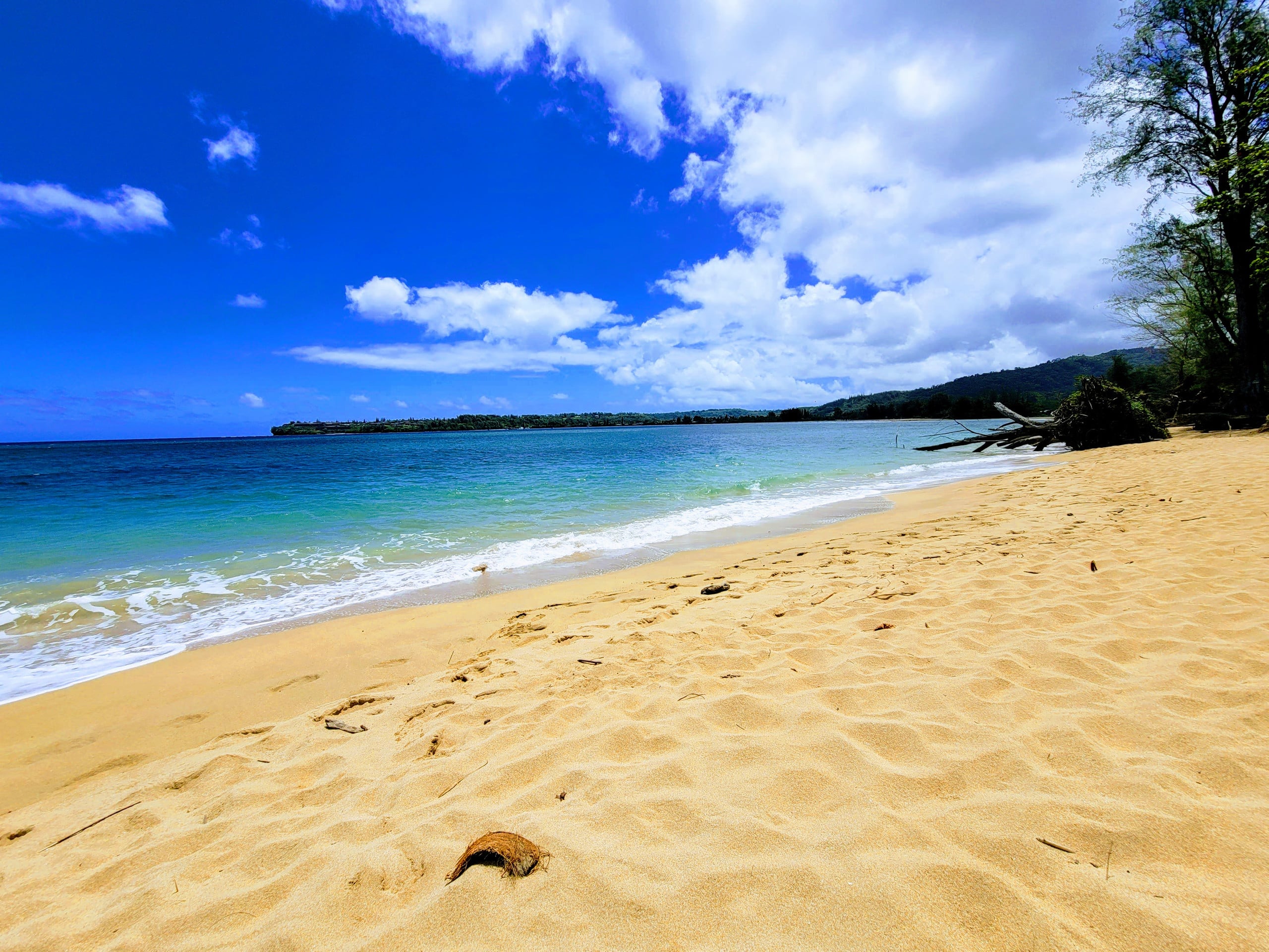 Home in Kailua-Kona · ★4.91 · 4 bedrooms · 6 beds · 3.5 baths - Image 38