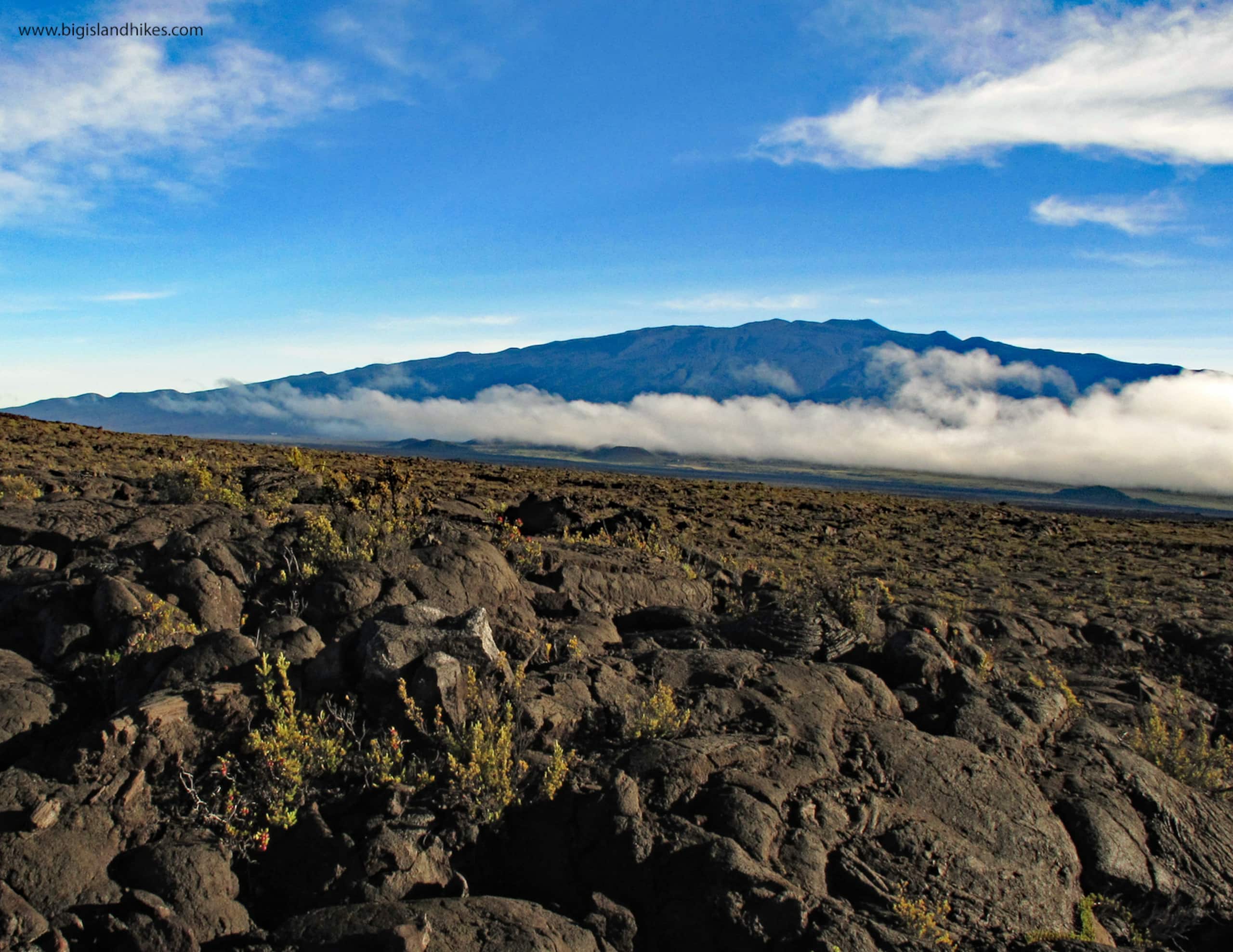 Home in Kailua-Kona · ★4.91 · 4 bedrooms · 6 beds · 3.5 baths - Image 49