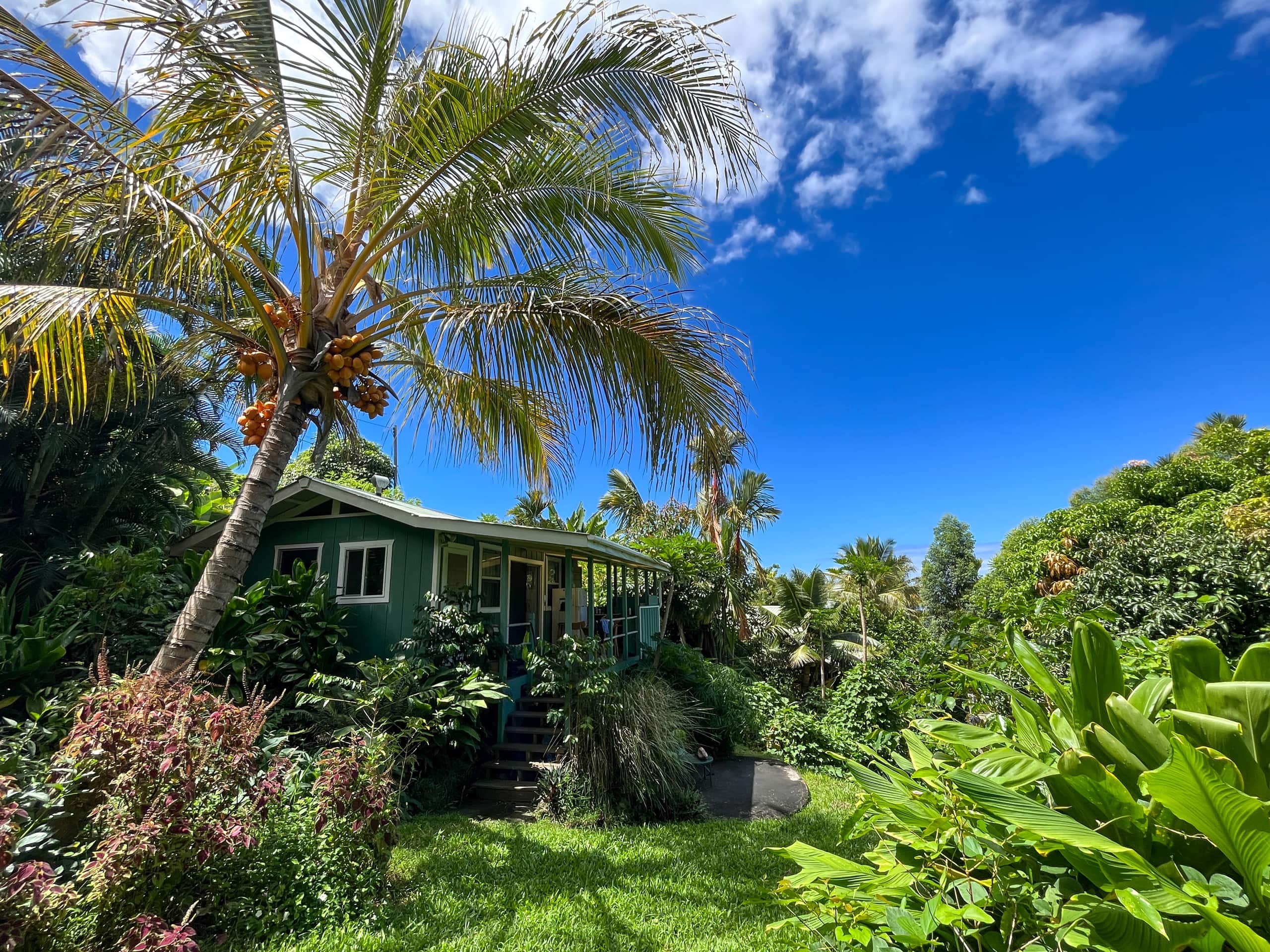 Unplug and Reset: Garden Cottage with Ocean View - Main photo