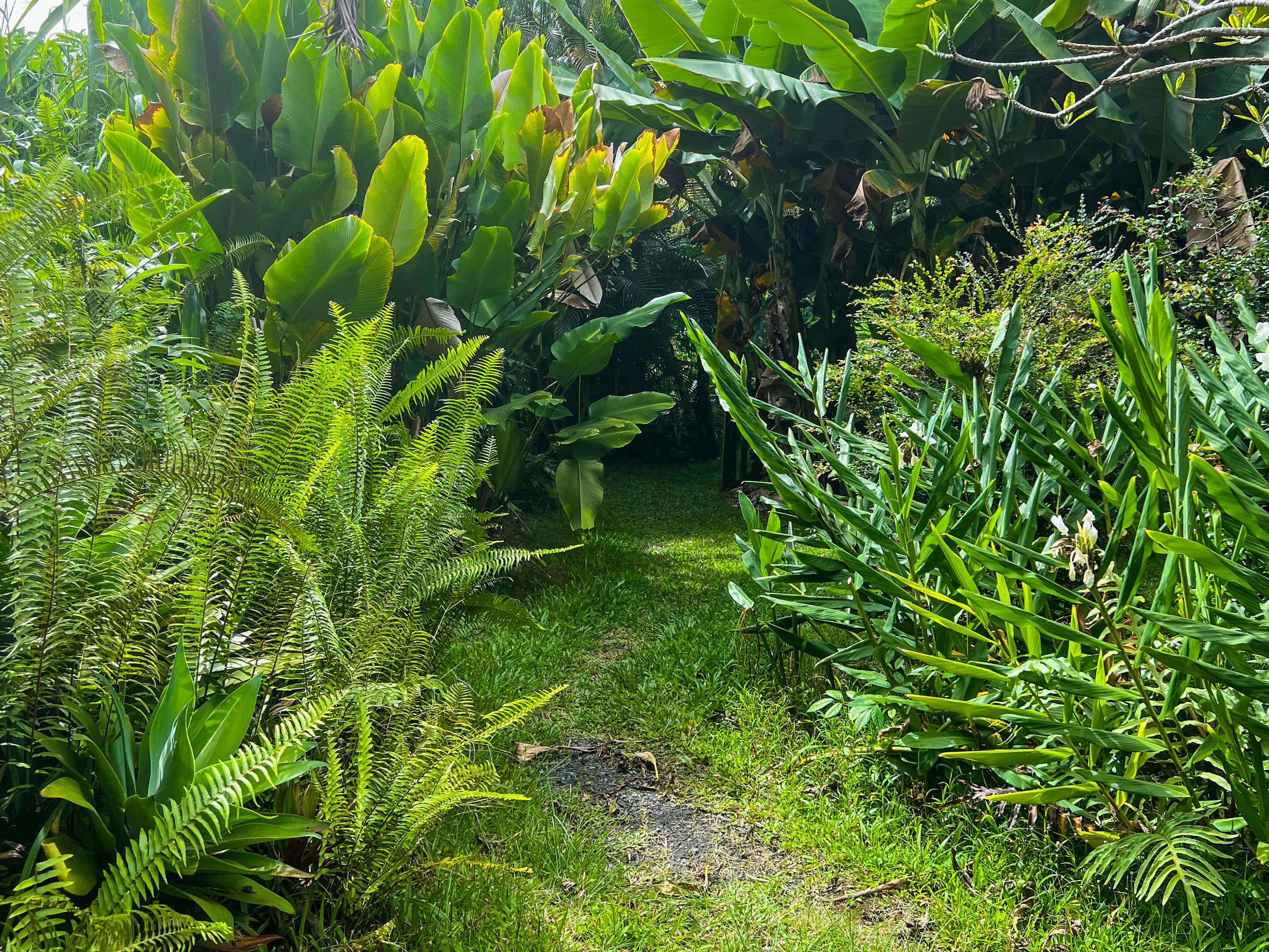 Unplug and Reset: Garden Cottage with Ocean View - Photo 7