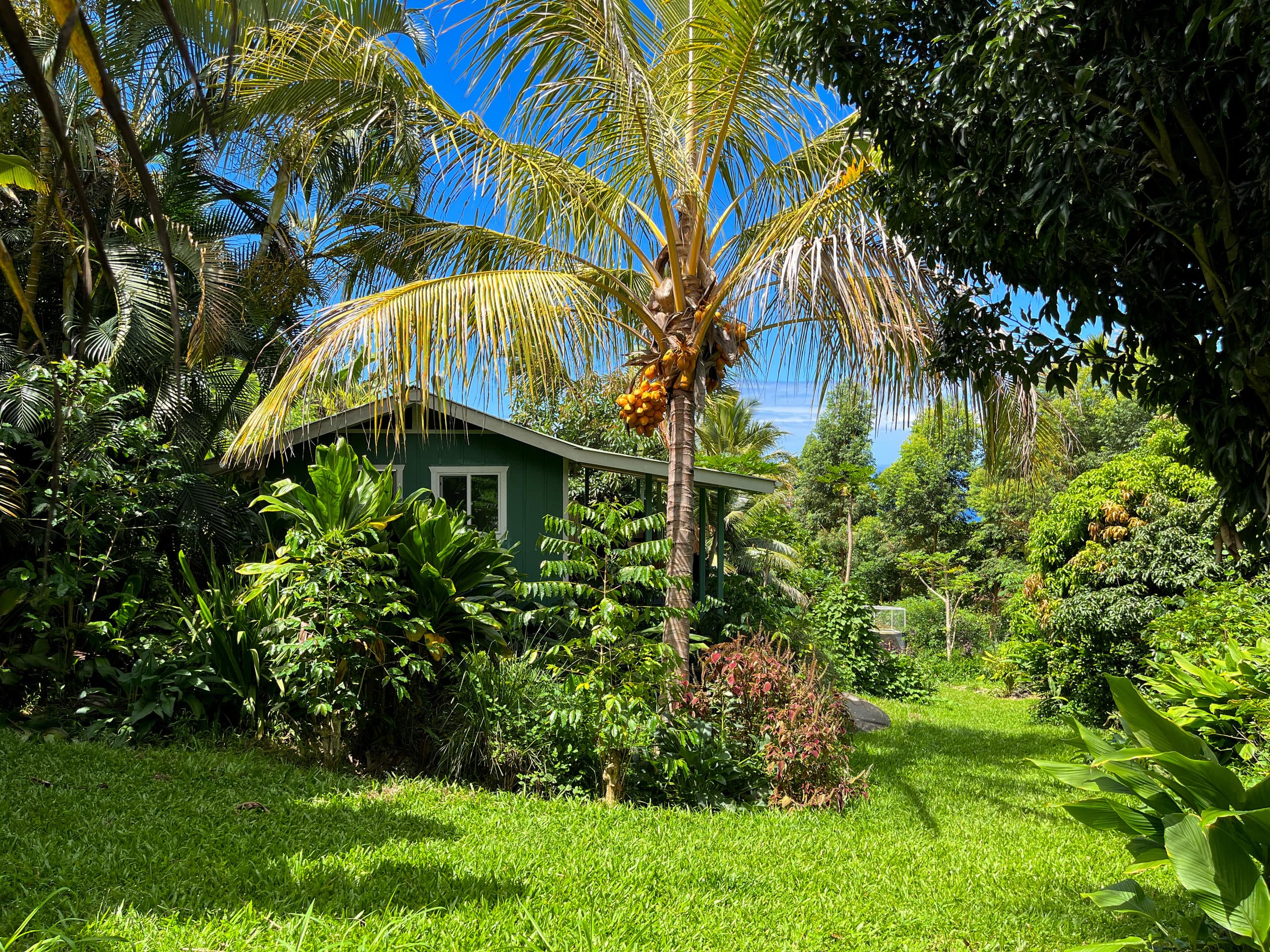 Unplug and Reset: Garden Cottage with Ocean View - Photo 5