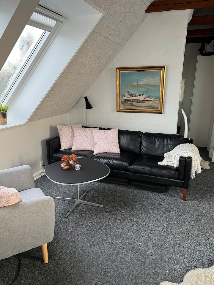 Udsigtsbolig Direkte Ved Strand - Esbjerg