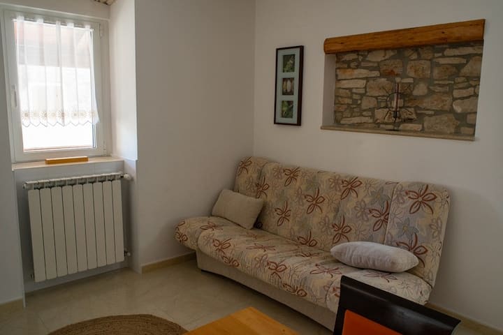 Olive Tree - Two-bedroom Apartment (Old House) - Strunjan