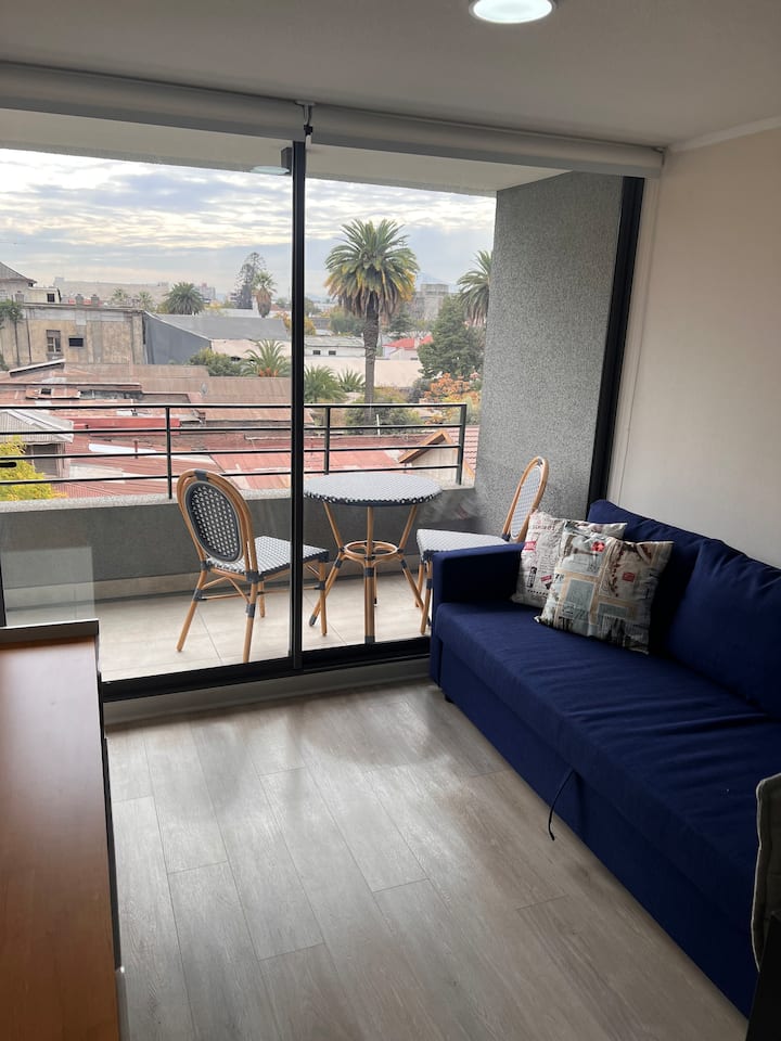 Dpto Acogedor En Santiago Centro - Santiago