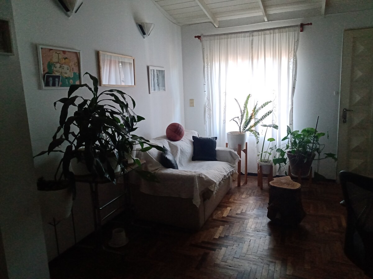 A spacious living area features a light-colored sofa adorned with decorative pillows. Natural light filters through sheer curtains, highlighting various potted plants placed strategically around the room. A piece of artwork is mounted on the wall, and a wooden stump serves as a unique side table.