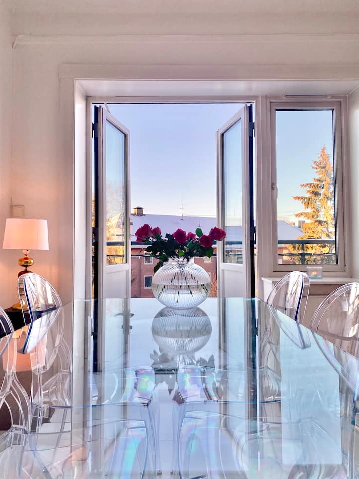 Luxury Oslo Penthouse Apartments With Elevator photo