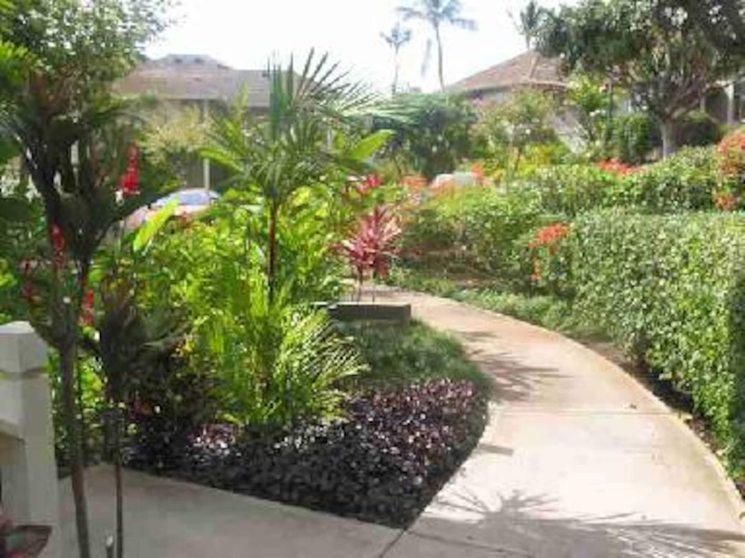 Condo in Wailea · ★4.81 · 1 bedroom · 2 beds · 1 private bath - Image 2