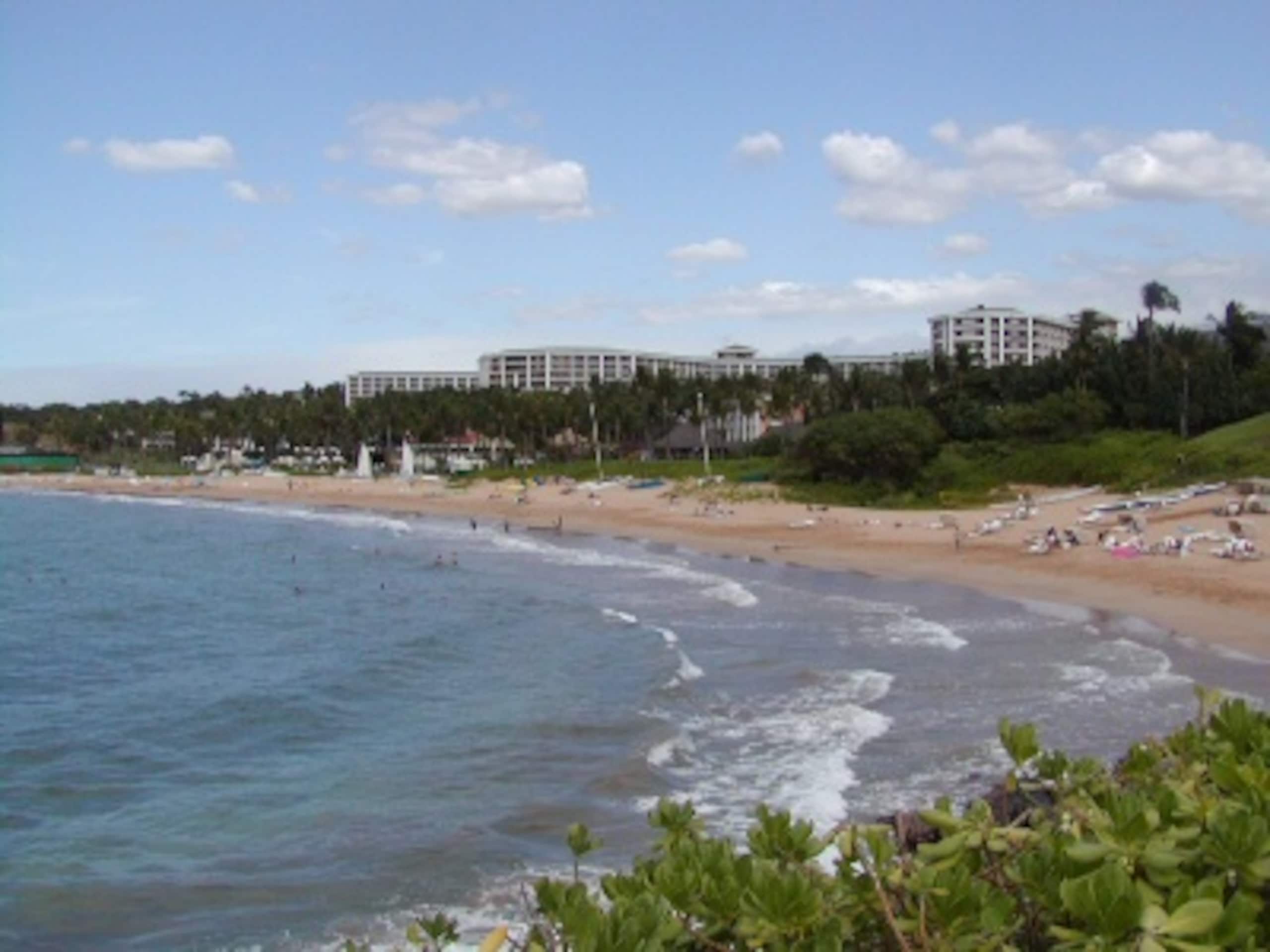 Condo in Wailea · ★4.81 · 1 bedroom · 2 beds · 1 private bath - Image 20