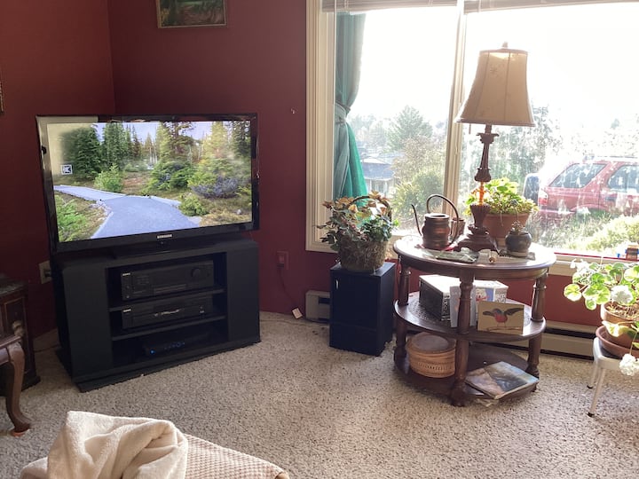 غرفة المعيشة