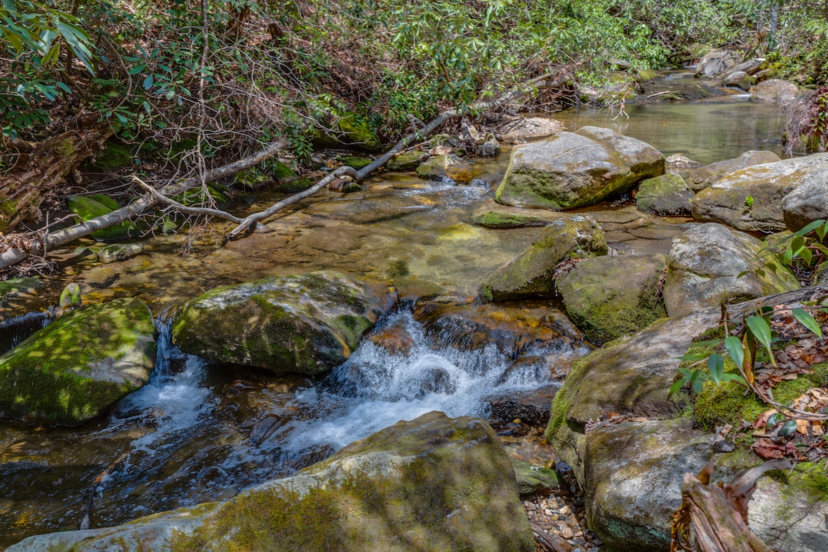 A gentle stream flows over smooth, moss-covered rocks in a forested setting. Sunlight filters through the canopy, casting dappled shadows on the water's surface. Surrounding greenery includes various shrubs and trees, enhancing the natural tranquility of the scene.
