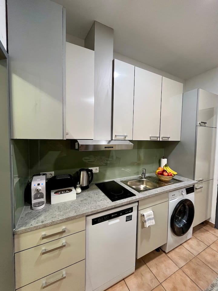 Spacious Apartment In Vienna Center - Viena