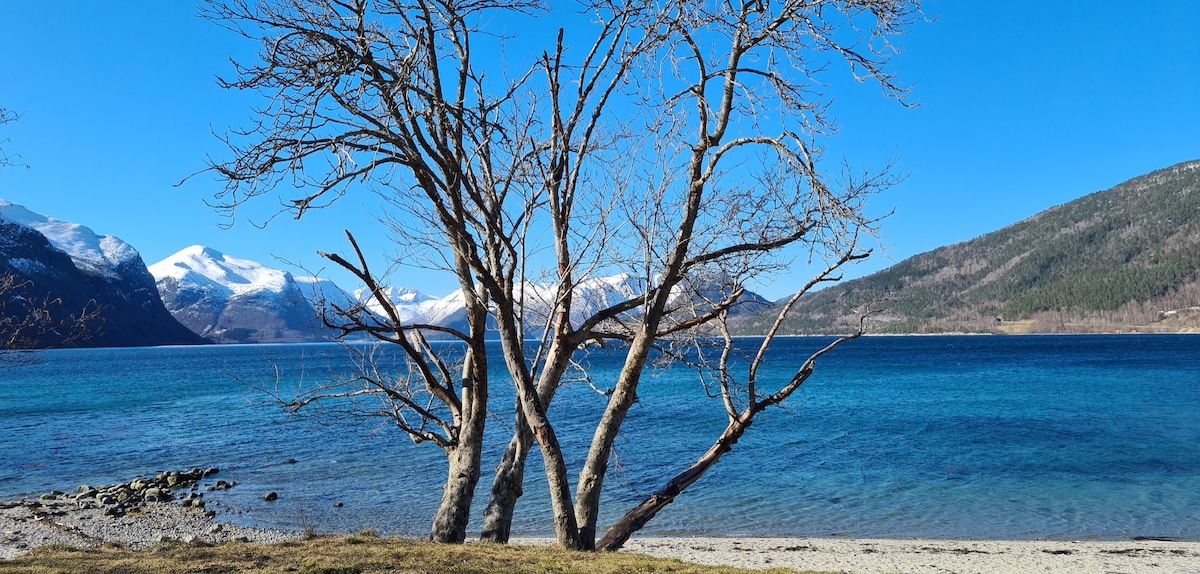 A serene lakeside scene features a bare tree with multiple trunks, positioned on a pebbled shore. The clear blue water reflects the bright sky, while distant snow-capped mountains frame the landscape, contributing to a tranquil outdoor setting.