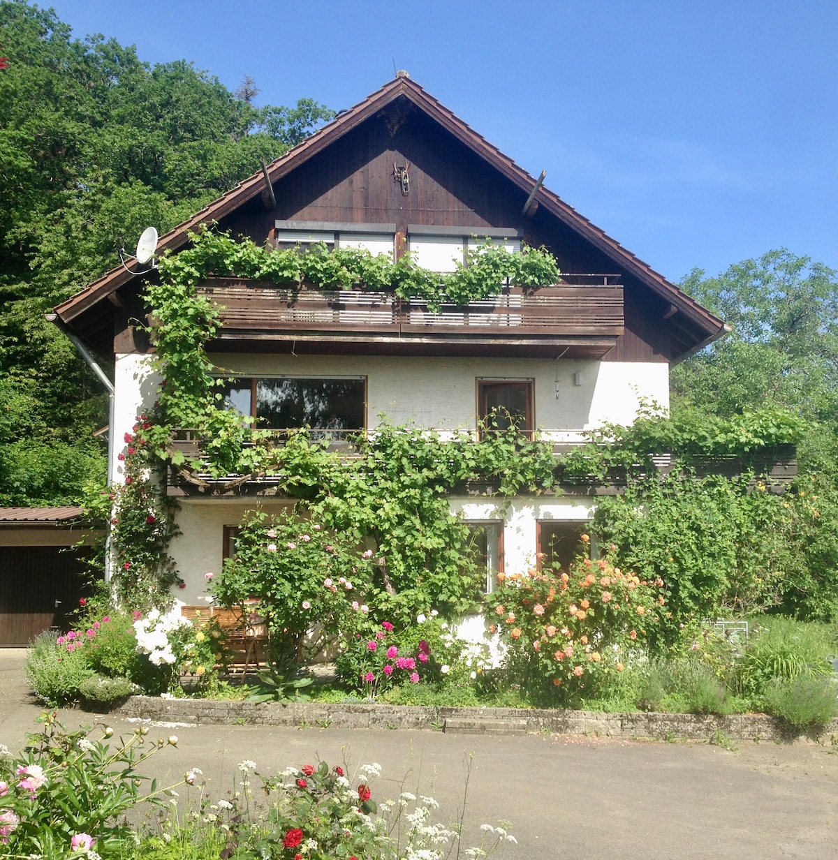 Stuttgart Vacation Rentals | Apartment and House Rentals | Airbnb