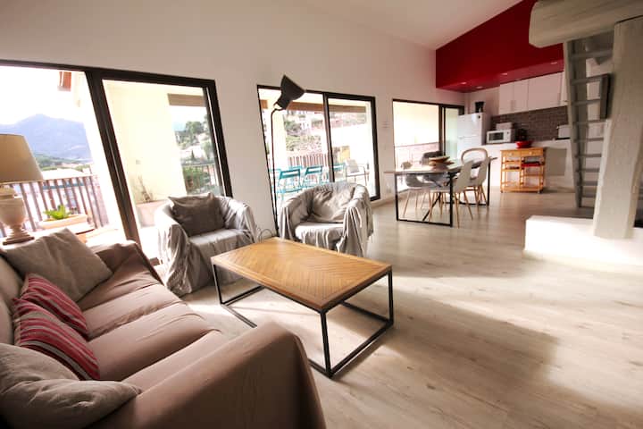Magnifique Duplex Avec Grande Terrasse Et Garage - Collioure