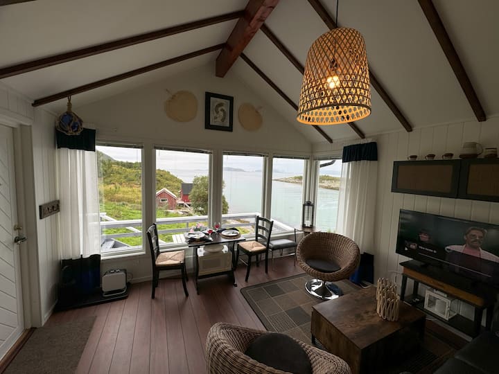 Havets Gull - Noruega