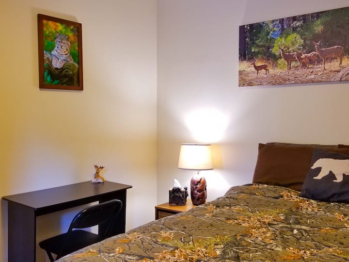 This Downstairs Room has a Queen Room w/ Comfortable Pillow Topper. Sheets, Blankets & Pillows Provided. Lap top desk.