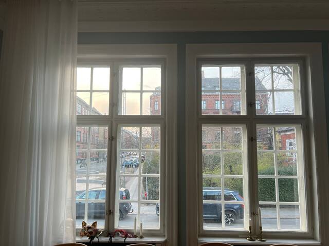 Grand 8-room apartment with private garden gallery image 3