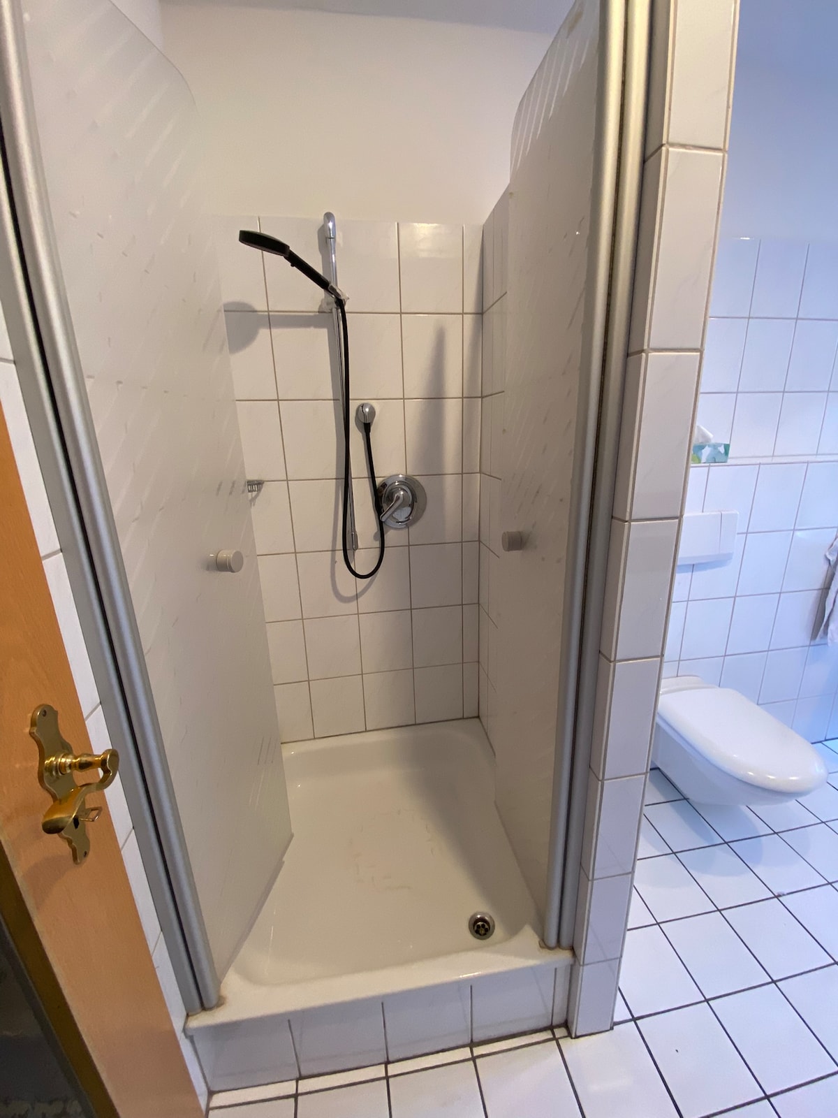 Spacious and bright apartment with an area of ​​135 sq. m. m with fenced garden