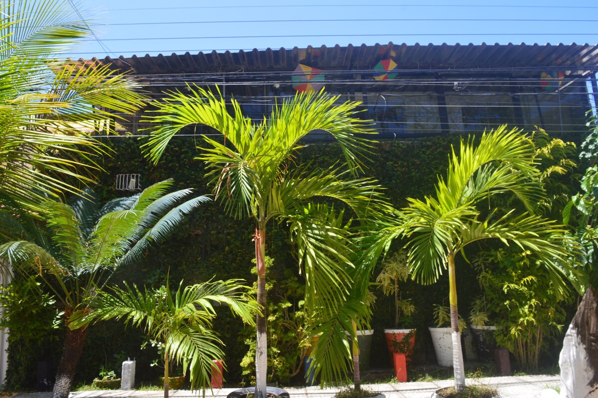 A vibrant garden scene features lush, green palm trees positioned against a backdrop of a lively, decorated wall. The foliage offers a tropical ambiance, with a variety of plants nestled among well-maintained pathways. Clear blue skies are visible above, enhancing the inviting atmosphere.