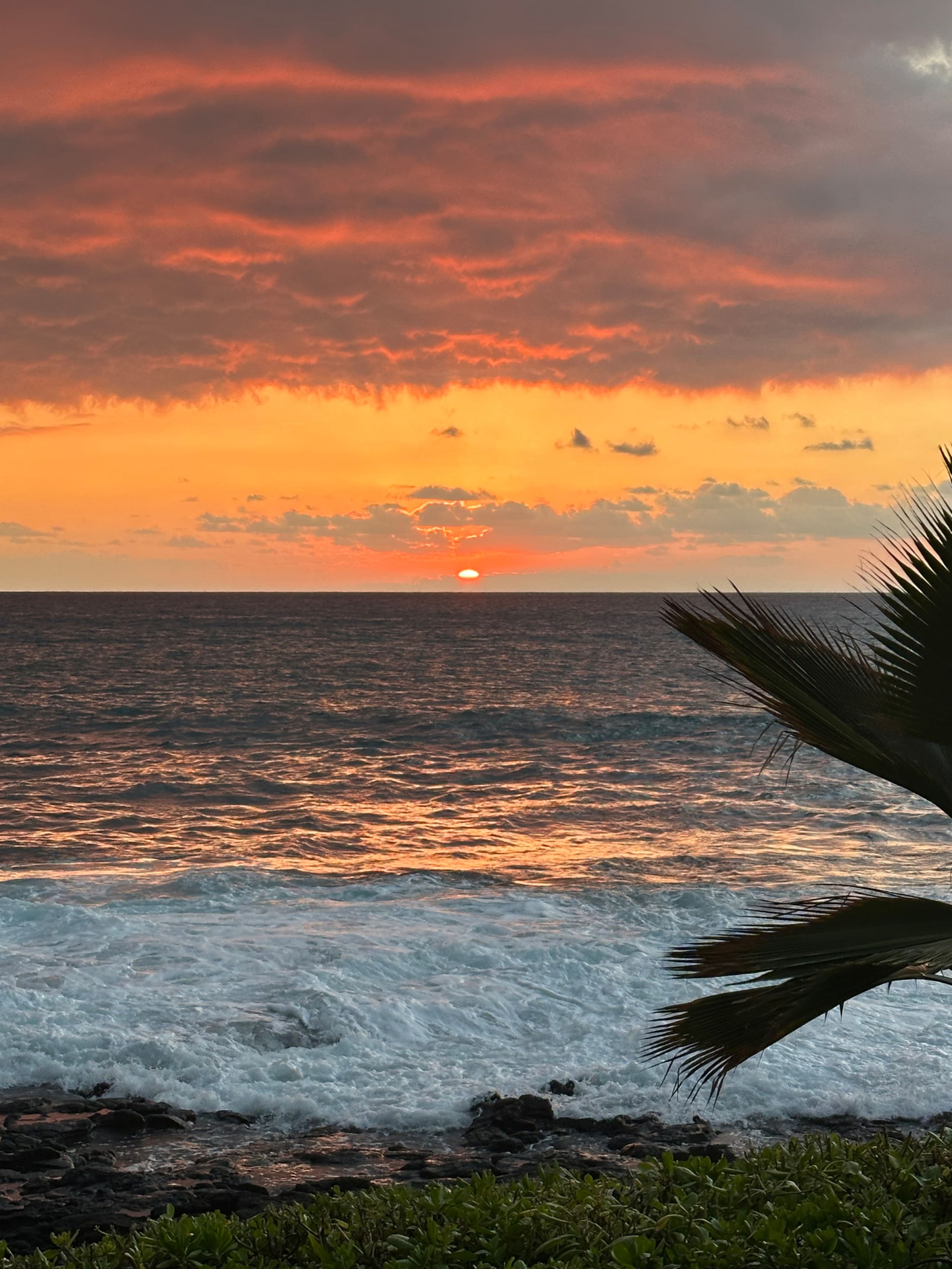 Beautiful Modern Ocean Front Condo - Image 37