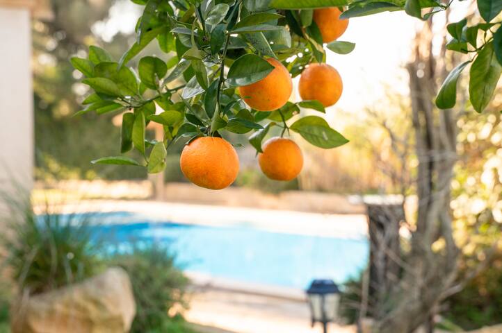 Finca El Castillo gallery image 5