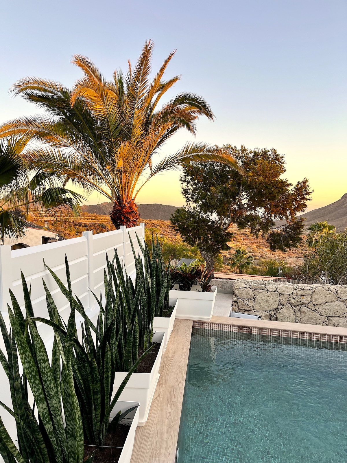 A private pool is surrounded by modern landscaping, featuring tall palm trees and green plants. The warm hues of sunset illuminate the scene, enhancing the tranquil atmosphere. A stone wall provides privacy while highlighting the natural beauty of the surrounding area.