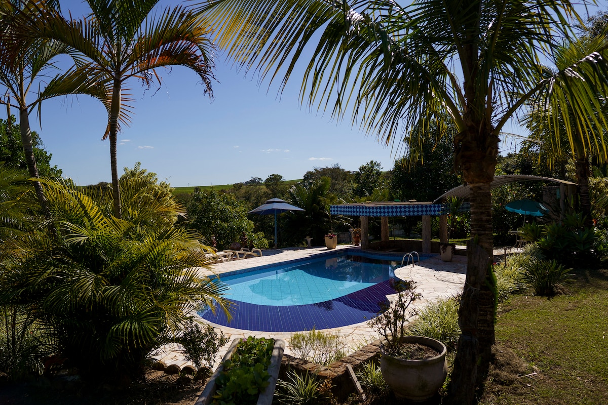 A serene outdoor space features a well-maintained swimming pool surrounded by palm trees and lush greenery. Sun loungers are positioned by the poolside under blue umbrellas, providing shaded relaxation areas. The clear sky adds to the tranquil atmosphere, inviting leisurely afternoons.
