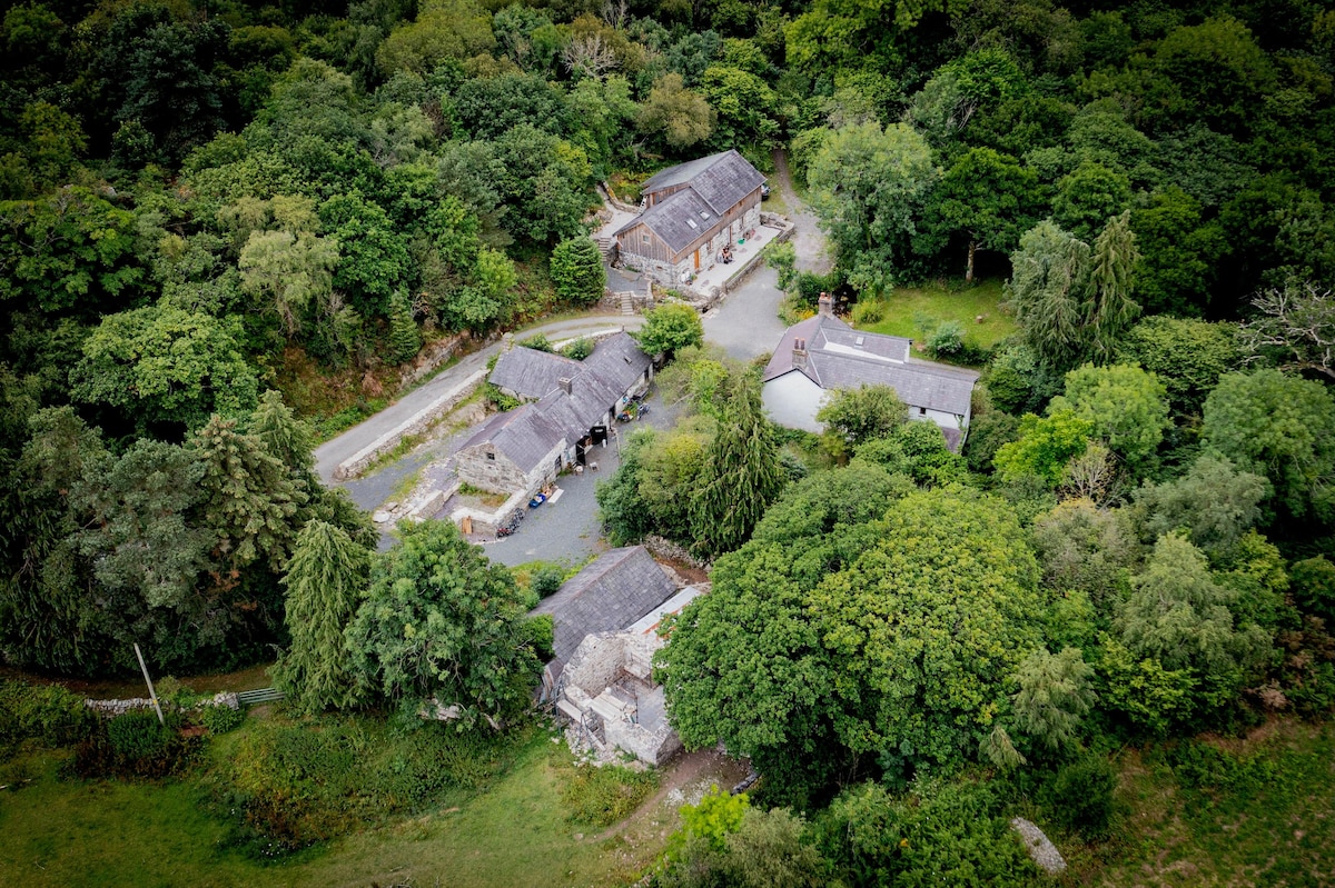 An aerial view captures the cluster of buildings within a lush, green forest setting. The roofs of the structures blend with the surrounding trees, and a winding path is visible, leading through the foliage. The scene evokes a sense of natural tranquility.