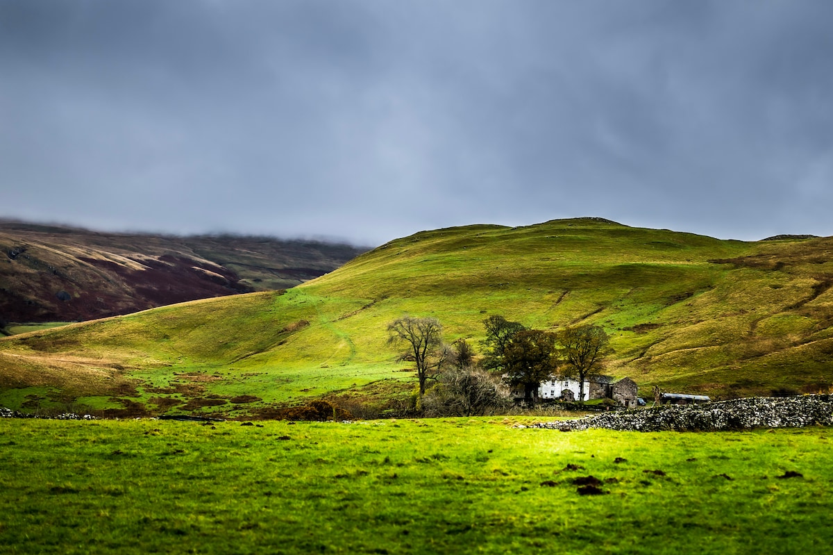 A serene rural landscape features rolling green hills under a cloudy sky. A quaint white house is nestled among a group of trees, surrounded by lush meadows, creating a peaceful, natural setting.