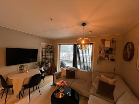 Successful Airbnb property: Cozy two-room apartment for rent in Oslo in Bjerke