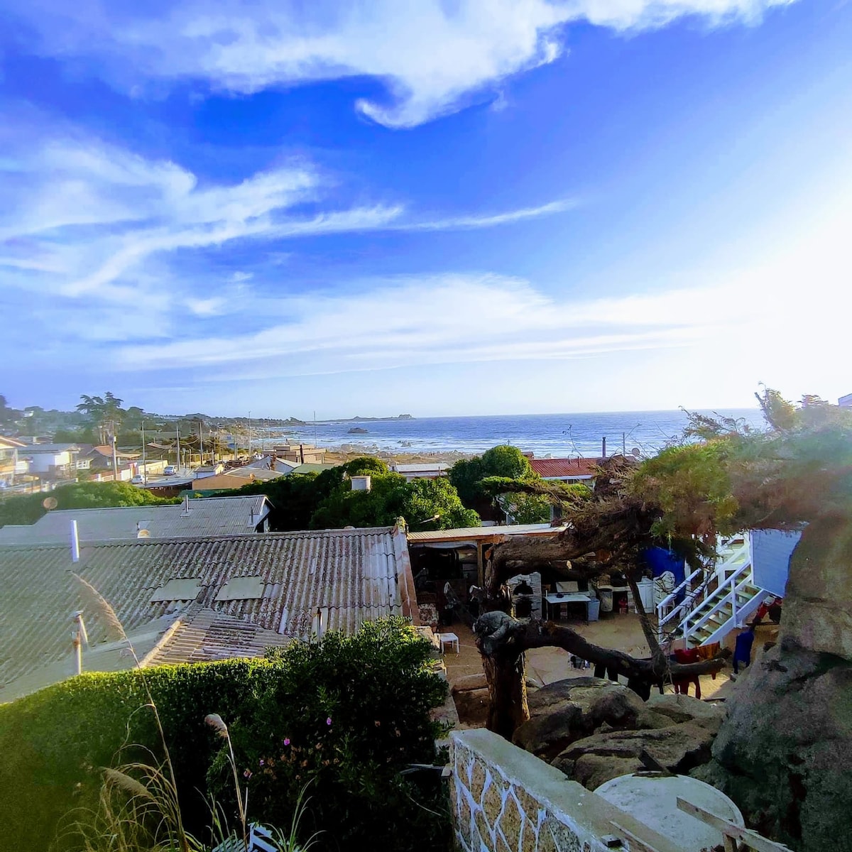 An expansive view of the coastline is presented, showcasing the ocean and nearby rooftops. Vibrant foliage frames the scene, while wispy clouds spread across the sky. The calm water reflects the soft light, highlighting the tranquil atmosphere of the surrounding area.