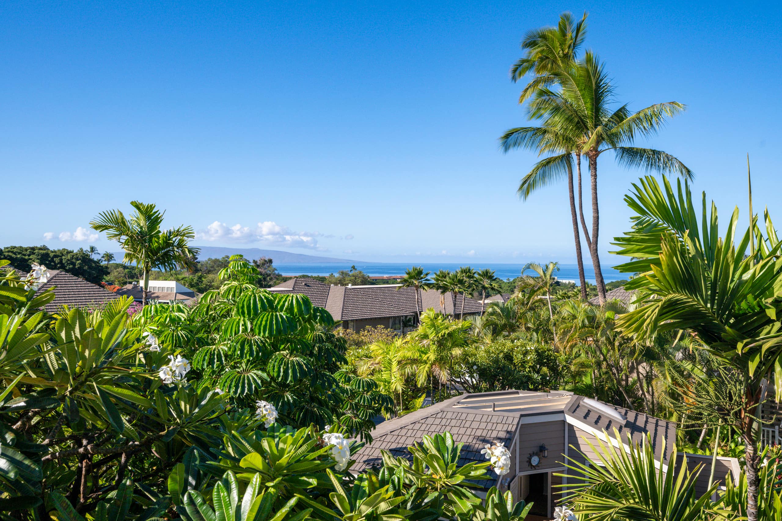 Condo in Wailea · ★5.0 · 2 bedrooms · 4 beds · 2 baths - Image 46