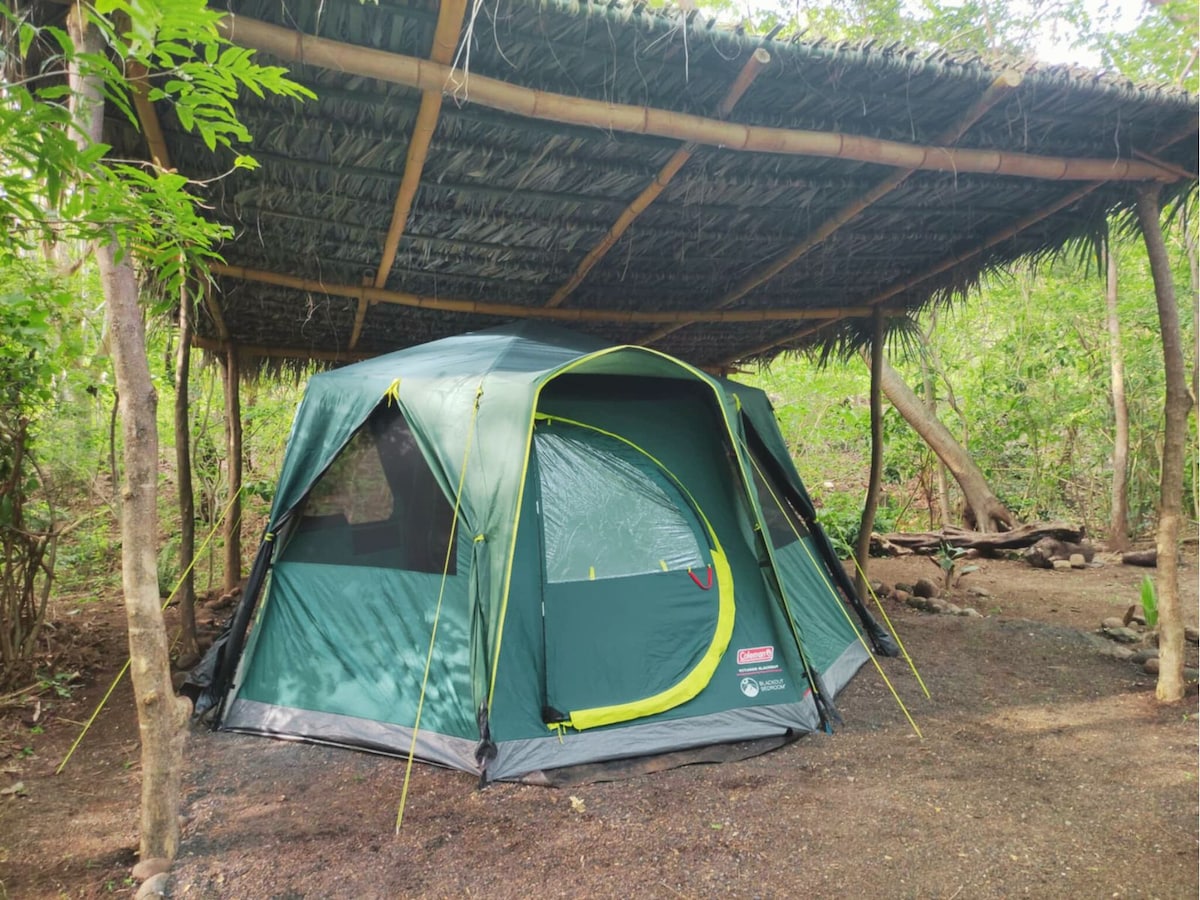 A spacious glamping tent is situated beneath a natural roof made of thatch, surrounded by lush greenery. The tent features a large front entrance, providing easy access and ample ventilation. The ground is an earthy, compact surface, with hints of foliage and stones visible.