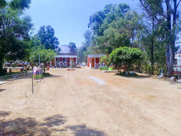 A spacious outdoor area features two cabins surrounded by mature trees and greenery. A dirt pathway leads to the cabins, while colorful seating options are visible in the yard. The setting offers a peaceful atmosphere suitable for relaxation.