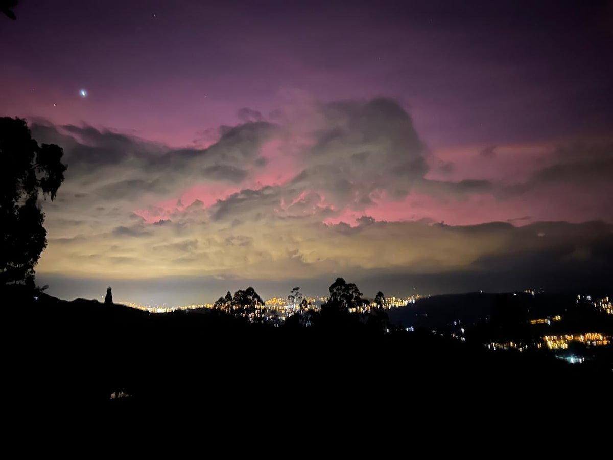 The photograph captures a scenic view of a twilight sky, featuring shades of purple and pink clouds illuminated by city lights below. Silhouetted trees frame the image, adding depth to the serene landscape and highlighting the tranquil atmosphere of the surrounding environment.
