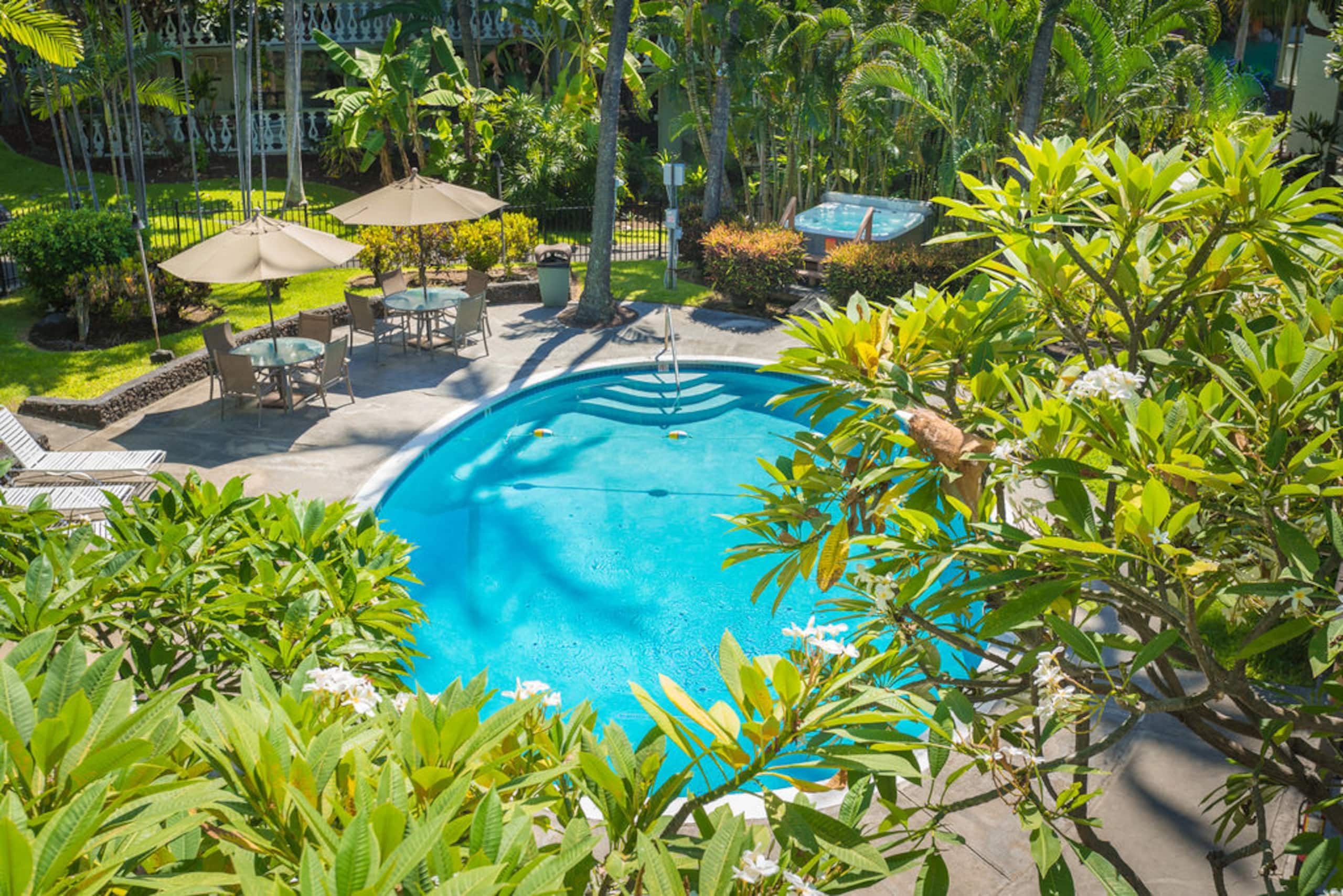 Condo in Kailua-Kona · ★4.82 · Studio · 2 beds · 1 bath - Image 1