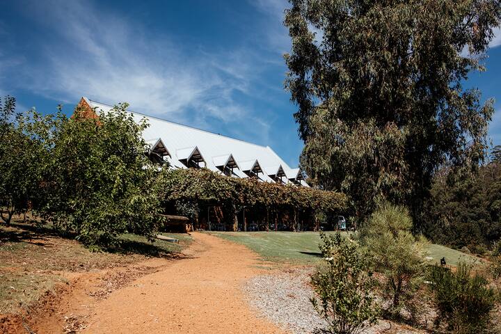 Secluded luxury lodge amongst truffle trees gallery image 2