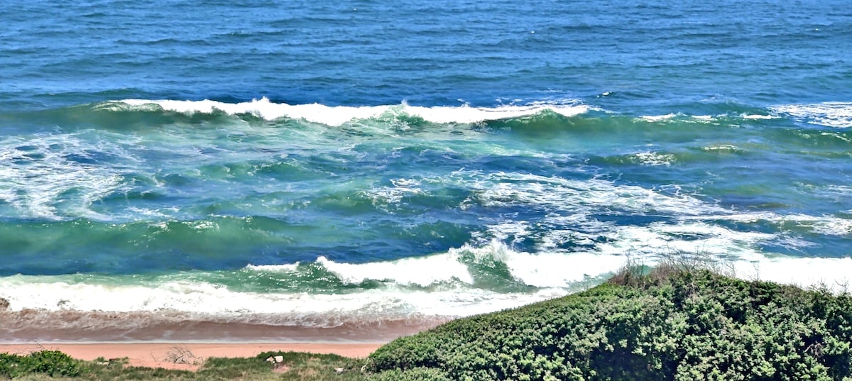A serene coastal view showcases gentle waves rolling onto a sandy beach. Lush greenery borders the shoreline, complementing the vibrant blues of the Indian Ocean. The tranquil landscape features a harmonious blend of water and foliage, inviting relaxation and connection with nature.