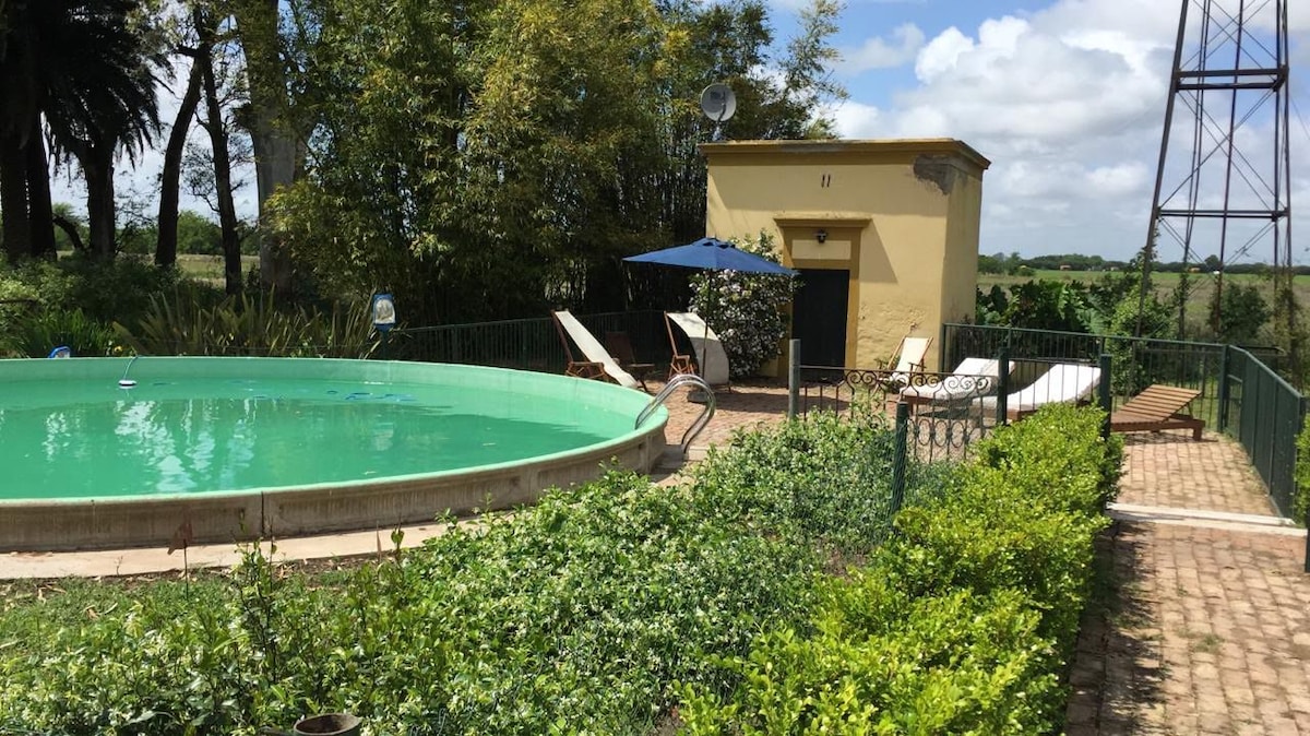 A circular swimming pool is surrounded by a green fence, with several lounge chairs positioned nearby. A shaded area with an umbrella offers a place to relax, while the building features a warm yellow exterior amidst lush greenery and trees under a bright sky.
