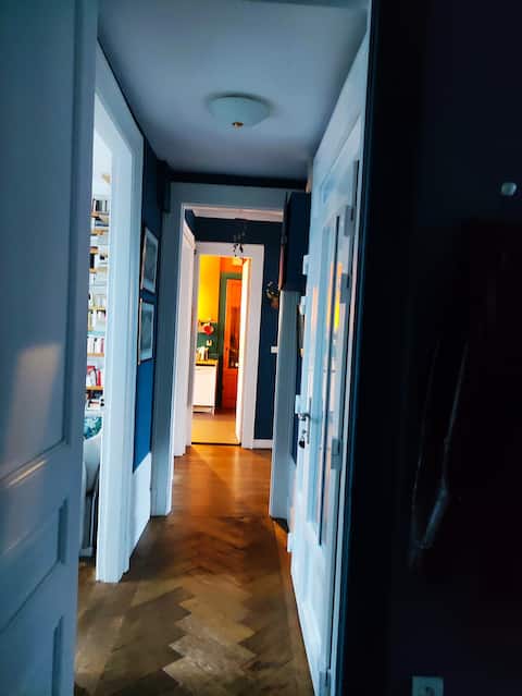 Renovated old apartment in the city center
